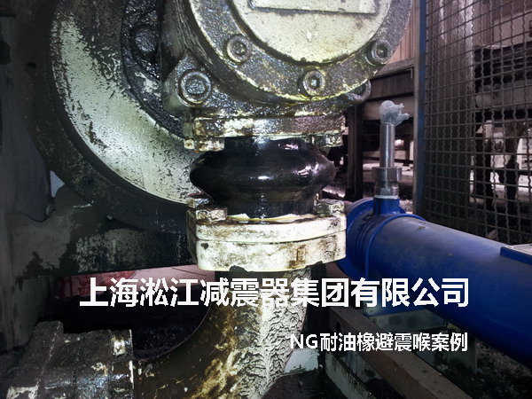 液壓泵NG耐油橡膠避震喉，NG耐油橡膠避震喉照片